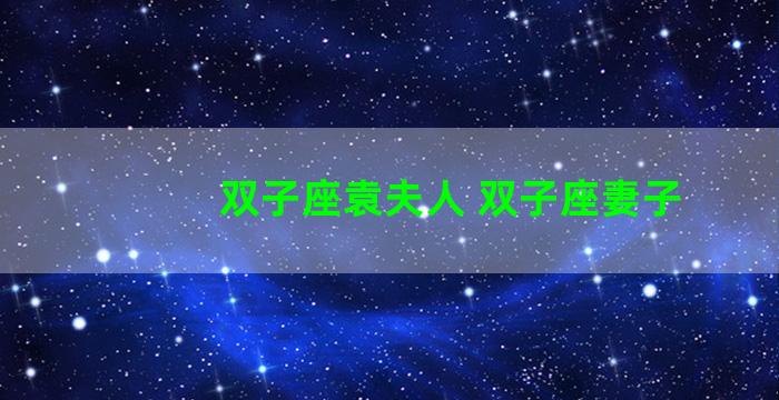 双子座袁夫人 双子座妻子